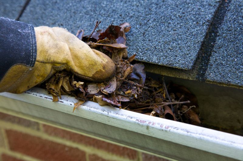 Clogged Gutter Clearing in Pittsburgh, PA