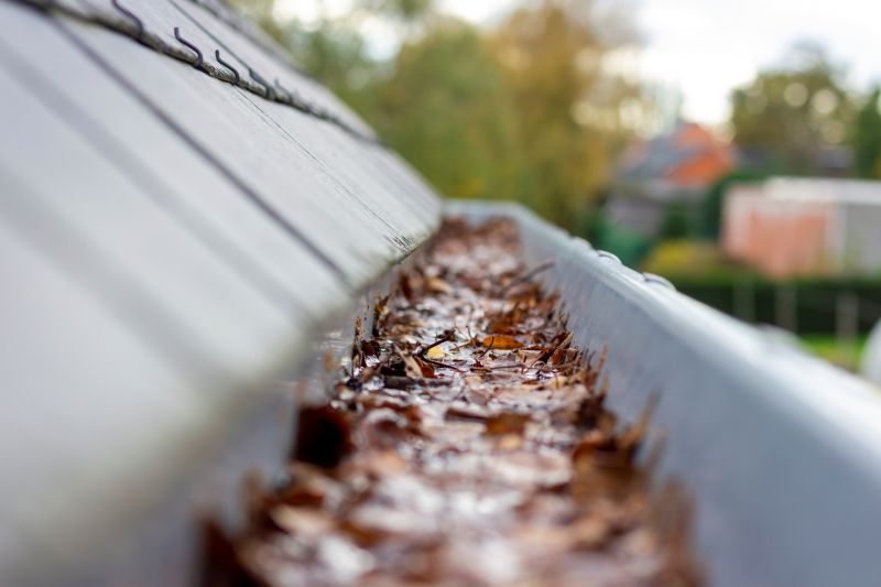 Commercial Downspout Cleaning in Denver, CO