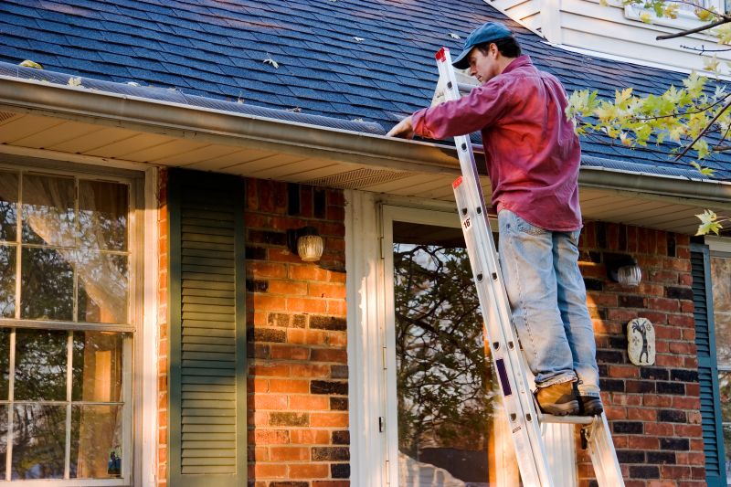 Gutter Cleaning in Long Island, NY