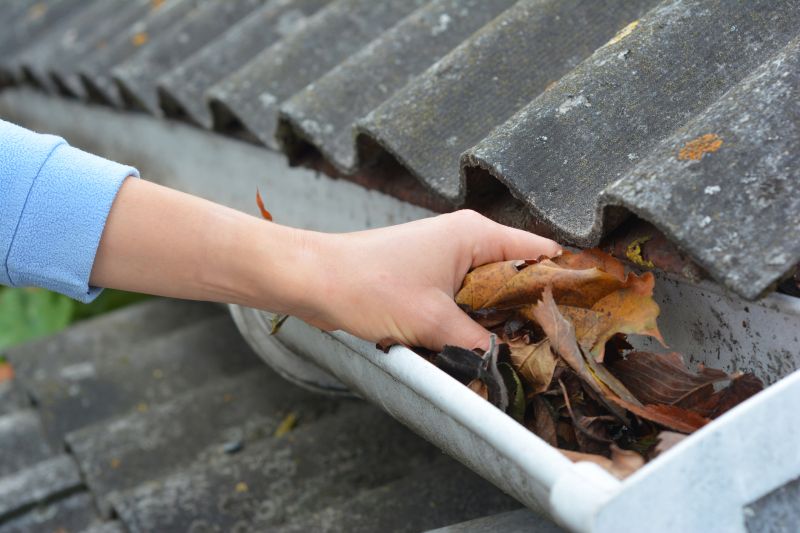 Gutter Leaf Clearing in Monmouth County, NJ