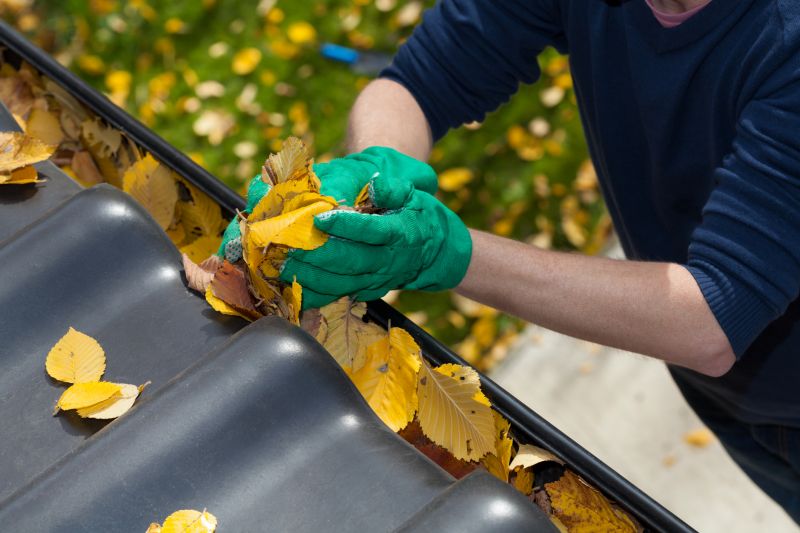 Gutter Leaf Clearing in Longmont, CO